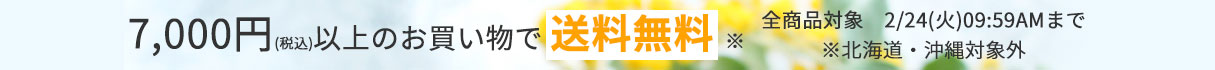 7000円以上のお買い物で送料無料