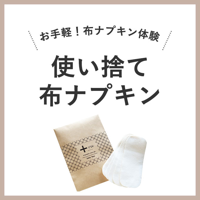 Sunny Days 布ナプキン3種10枚セット サニーデイズ