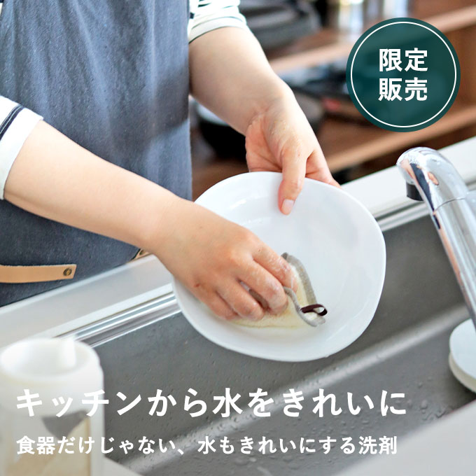 キッチンから水をきれいにする食器洗いセット