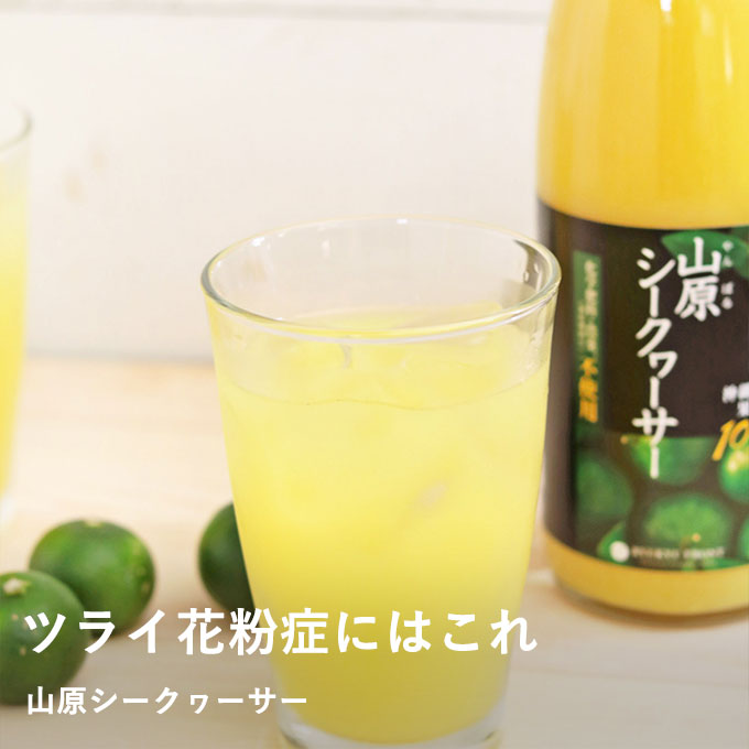 山原シークヮーサー