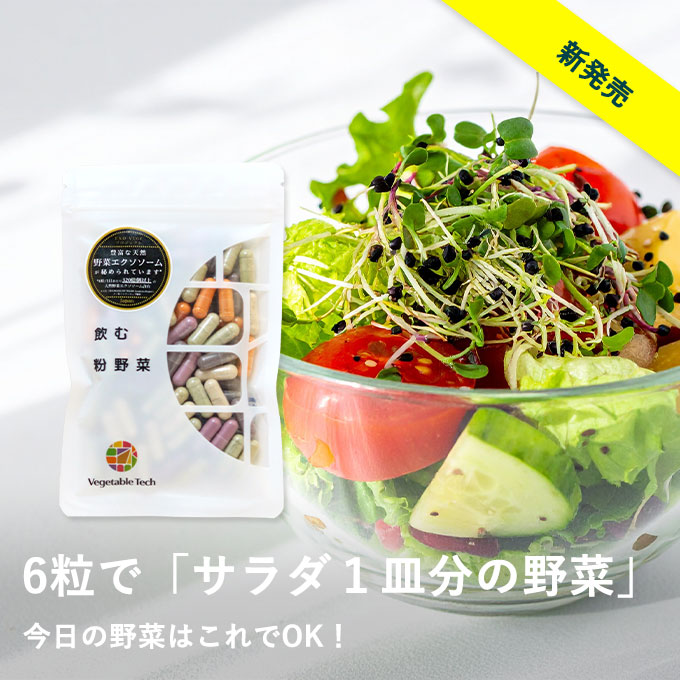飲む粉野菜〈6つの野菜セレクション〉