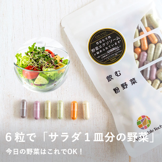 飲む粉野菜〈6つの野菜セレクション〉