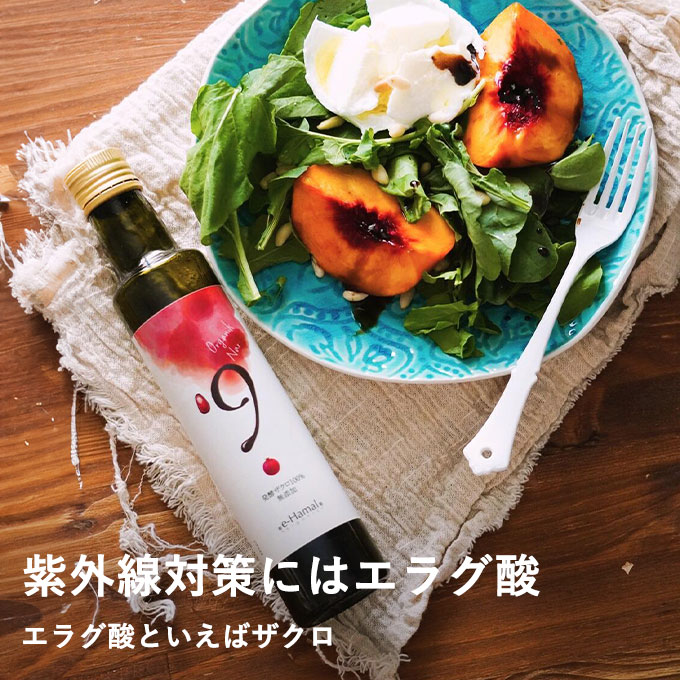 発酵ザクロ100%〔９〕