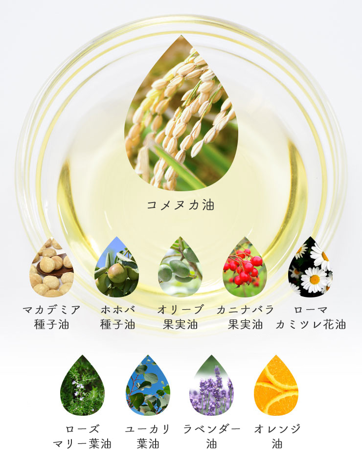 コメヌカ油、マカデミア種子油ホホバ種子油、オリーブ果実油、カニナバラ果実油、ローマカミツレ花油、ローズマリー葉油、ユーカリ葉油、ラベンダー油、オレンジ油