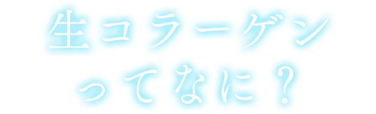 生コラーゲンってなに？
