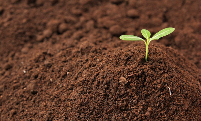 生分解して土にかえる