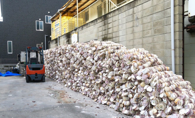 積みあがったホタテの貝殻