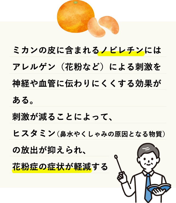 ミカンに含まれるノビレチンにはアレルゲン（花粉など）による刺激を神経や血管に伝わりにくくする効果がある。刺激が減ることでヒスタミン（鼻水やくしゃみの原因となる物質）の放出を抑えてくれる