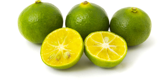 シークヮーサー