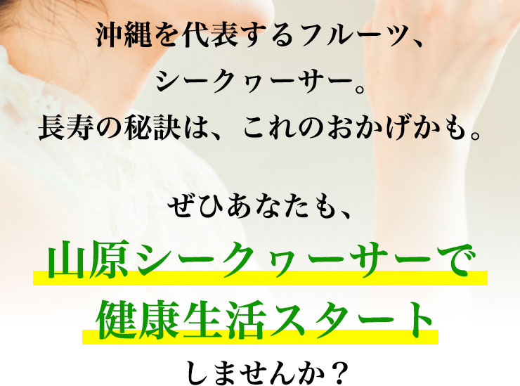沖縄を代表するフルーツ、シークヮーサー。
        長寿が多い秘訣は、これのおかげかも。
        山原シークヮーサーで健康生活スタートしませんか？