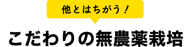 他とはちがう！こだわりの無農薬栽培