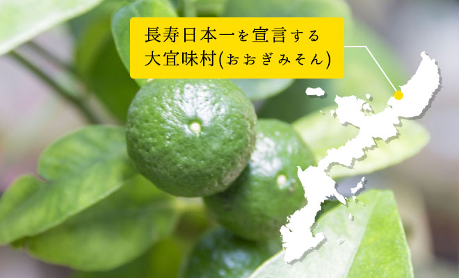 山原産シークヮーサー