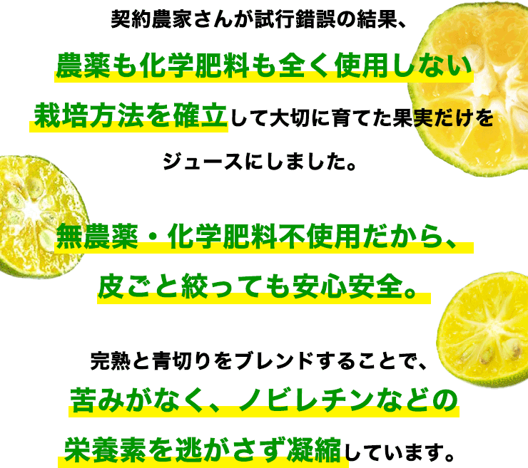 契約農家さんが試行錯誤の結果、農薬も化学肥料も全く使用しない栽培方法を確立して大切に育てた果実だけをジュースにしました。
            無農薬・化学肥料不使用だから、皮ごと絞っても安心安全。
            完熟と青切りをブレンドすることで、苦みがなく、ノビレチンなどの栄養素を逃がさず凝縮しています。