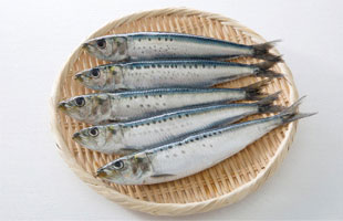 魚