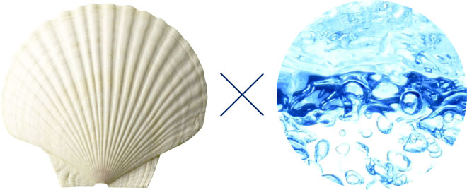 ホタテと水