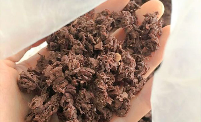 ワインののこりかす