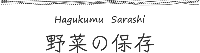 野菜の保存