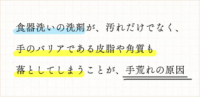 「食器洗いの洗剤が、汚れだけでなく、手のバリアである皮脂や角質も落としてしまうことが、手荒れの原因」。