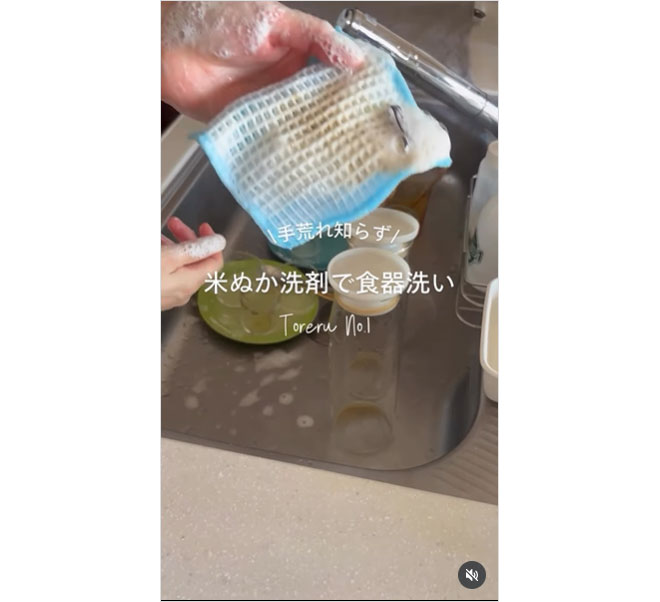 粉末とれるで食器洗い