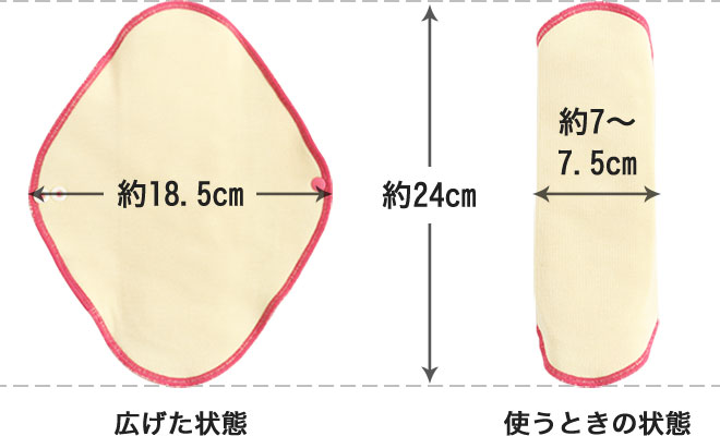 高さ約24cm