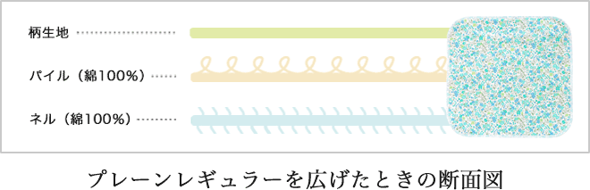 プレーンレギュラーを広げたときの断面図