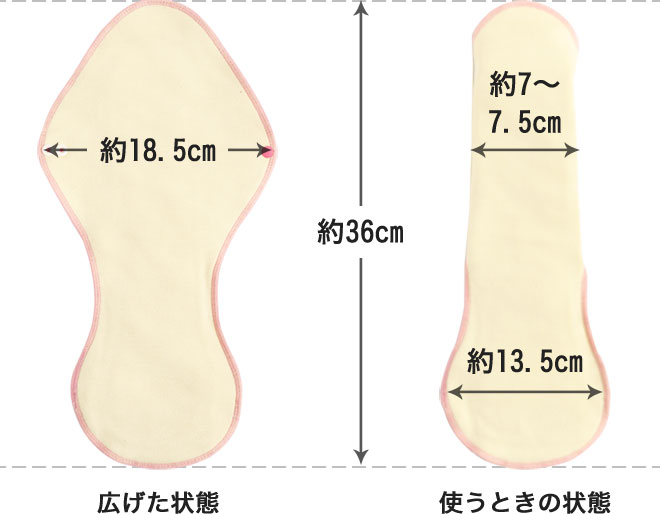 高さ約36cm