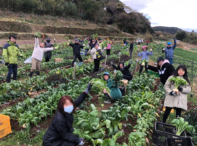 菌ちゃん野菜作り