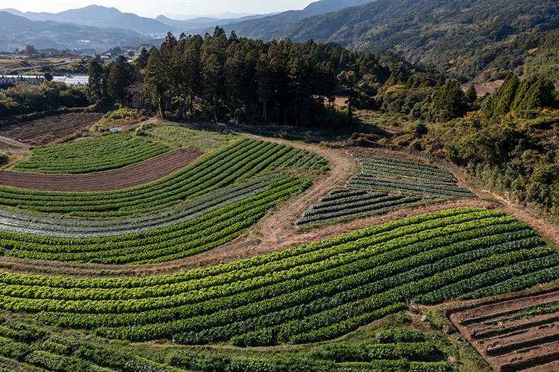 菌ちゃんファーム