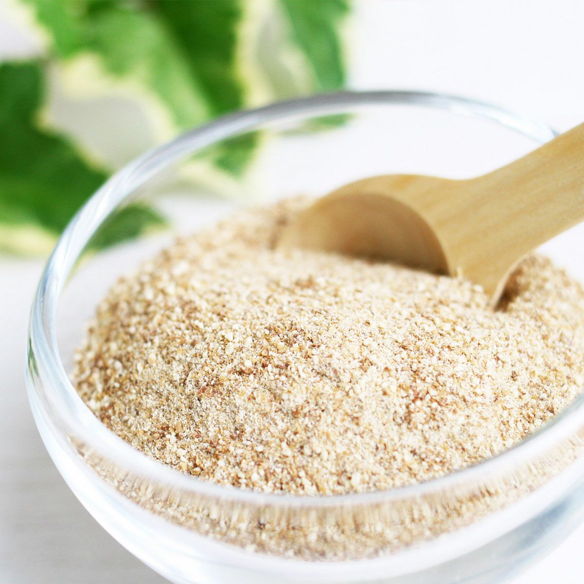 とれるNO.1粉末200グラム | 地球洗い隊（本店） ナチュラルライフの