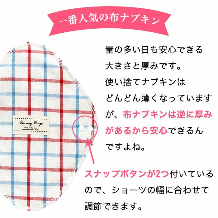 布ナプキン3枚セット ひし形レギュラー | 地球洗い隊（本店