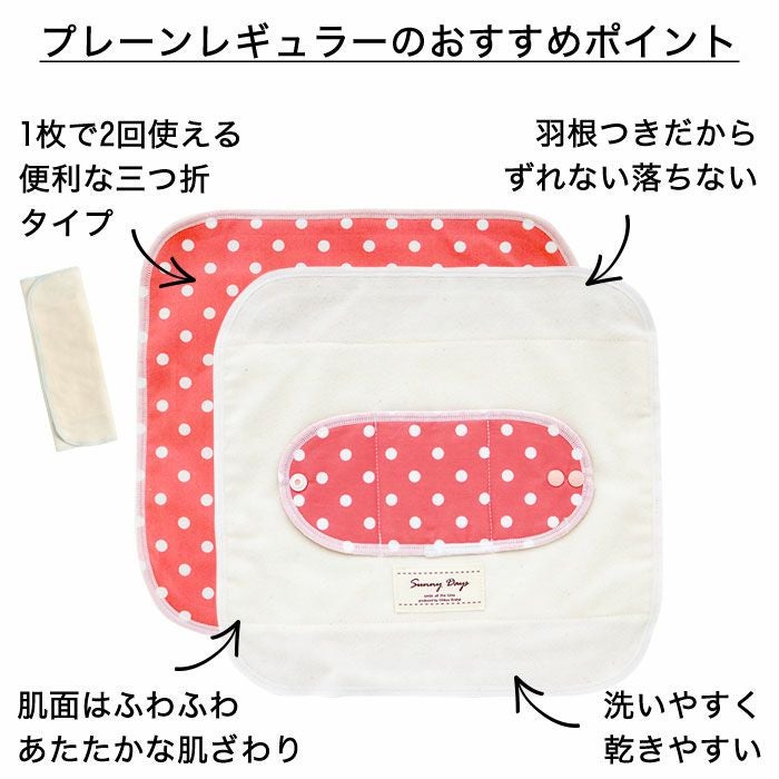 布ナプキン3枚セット プレーンレギュラー | 地球洗い隊（本店