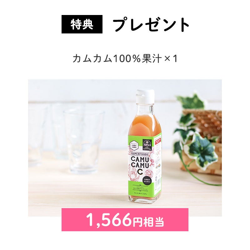 プレゼント
通カムカム100%果汁×1(1,566円相当)